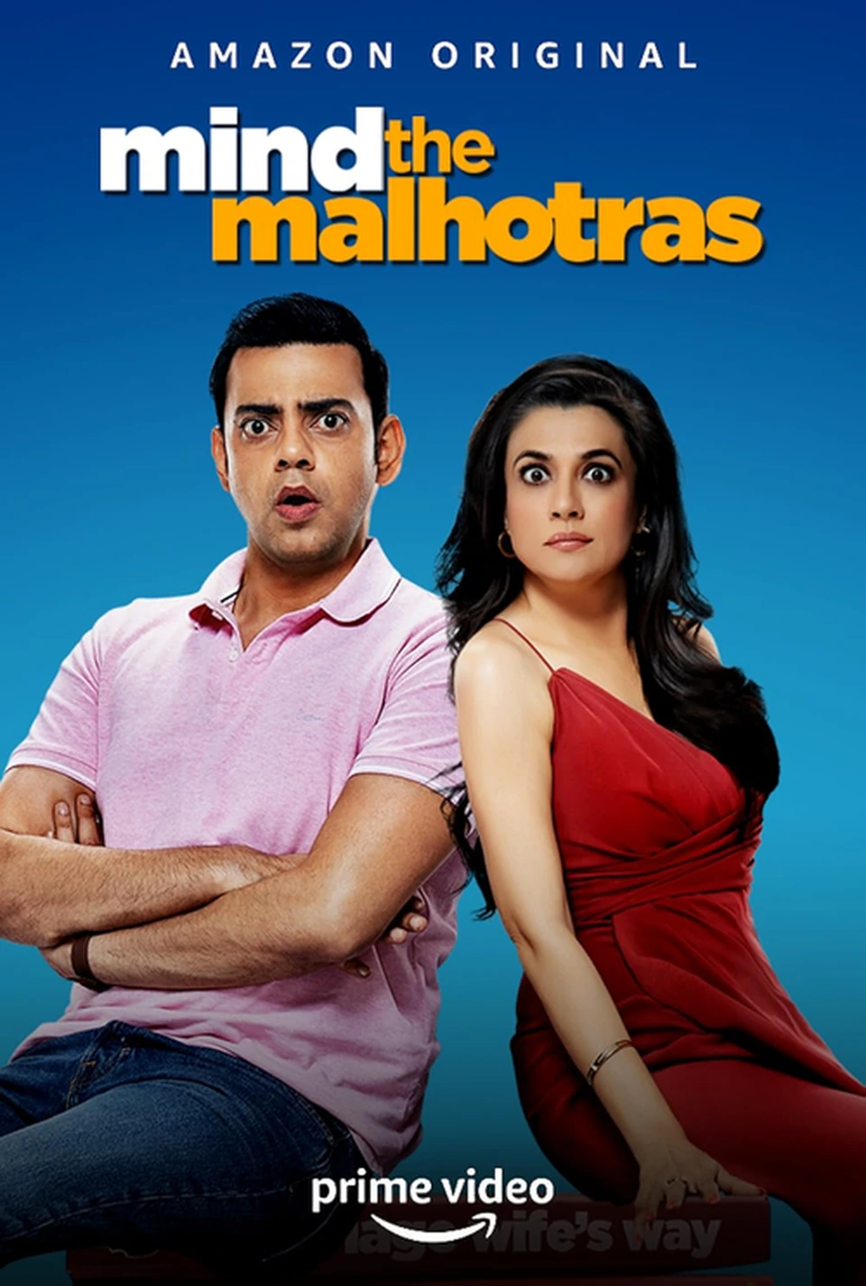 Mind the Malhotras supplied poster